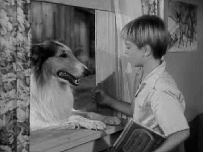 "Lassie" (19 years)