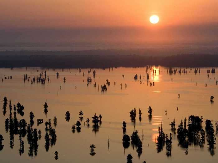 Lake Marion in South Carolina is so big that it spans five counties.