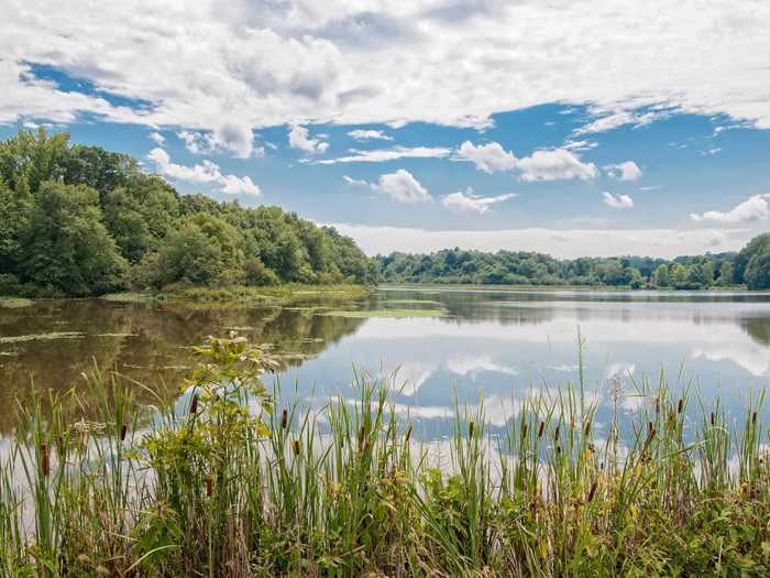 Located south of Birmingham, Lay Lake is a stunning 12,000-acre, tree-lined reservoir in Alabama.