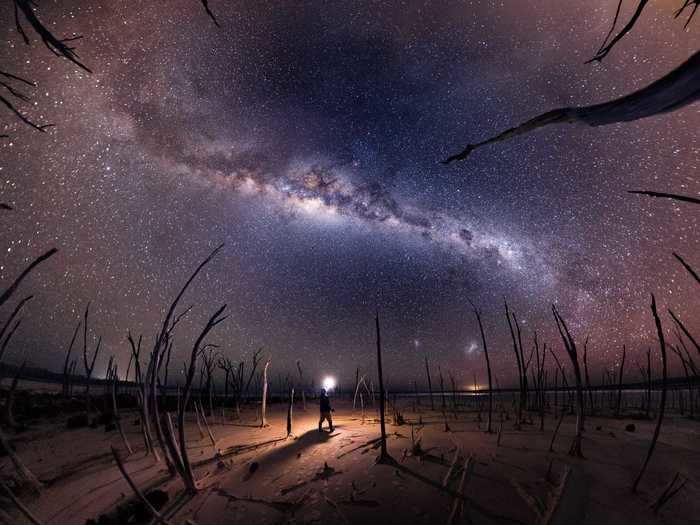 Michael Goh wanted to capture the way trees appeared to be "clawing up at the sky" in his photo "Nightmare."