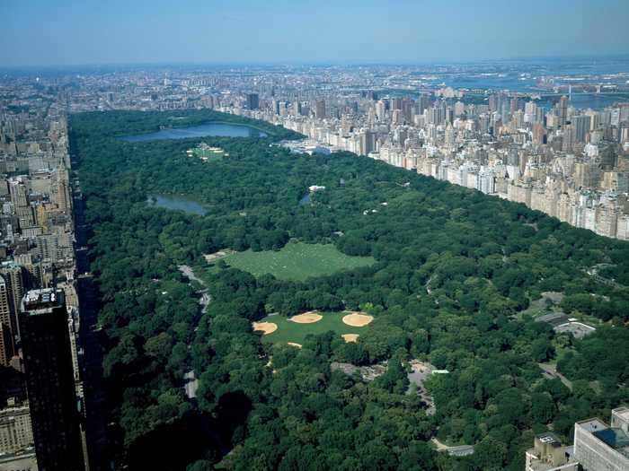 In 1858, New York City held a competition to find the best design for Central Park.