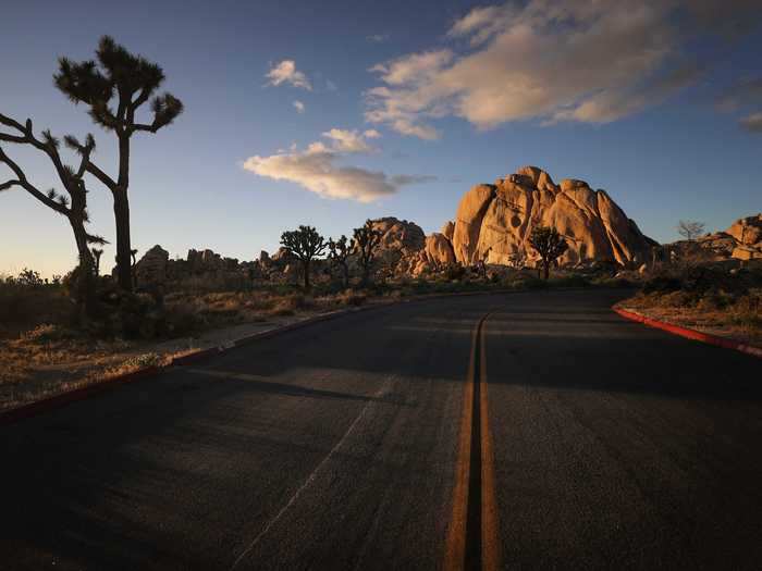 Geology Tour Road in Joshua Tree National Park, California, offers incredible views of an unusual landscape.