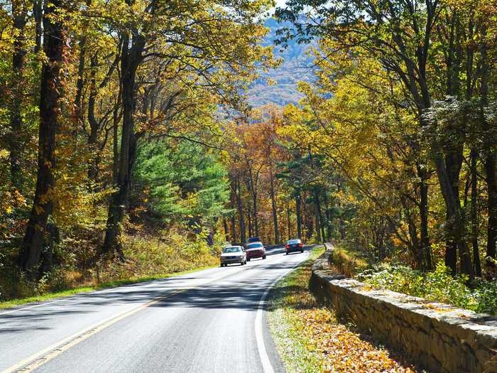 Skyline Drive is the best way to experience all of Shenandoah National Park in Virginia.