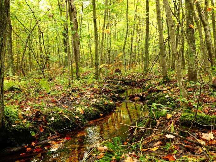 WISCONSIN: Levis/Trow Mounds Trail near Neillsville