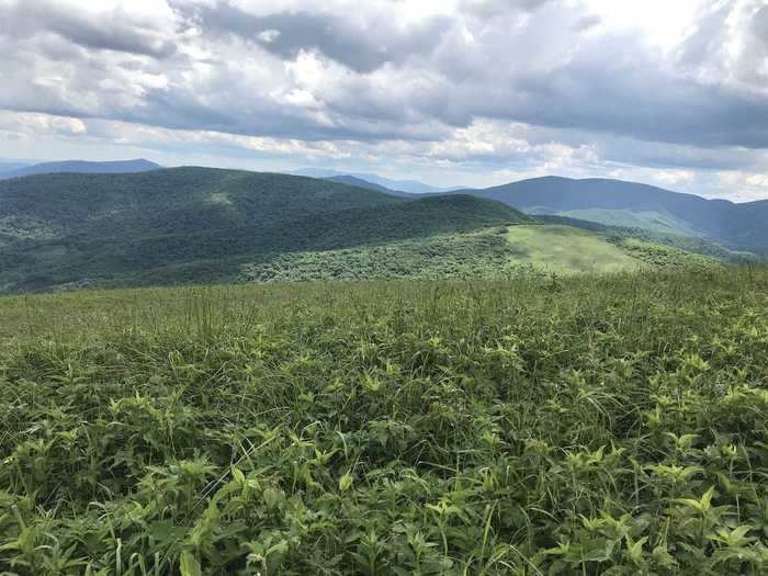 TENNESSEE: Appalachian Trail: 19E to Hump Mountain near Roan Mountain