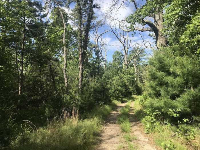 RHODE ISLAND: Wickaboxet Loop near West Greenwich