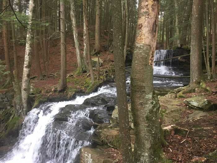 PENNSYLVANIA: Loyalsock Trail near Laporte