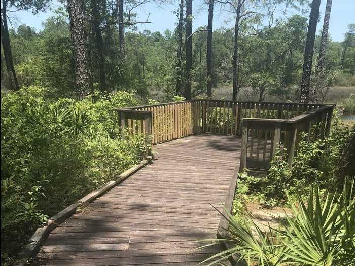 MISSISSIPPI: Fontainebleau Nature Trail near Ocean Springs