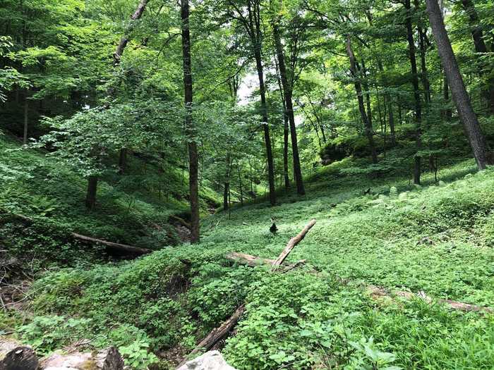 IOWA: West Lake and East Lake Trail Loop near Dundee