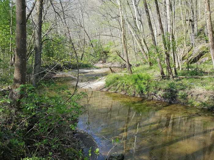 INDIANA: Portland Arch Nature Preserve near Attica