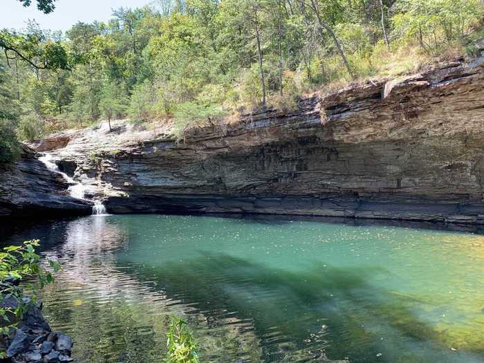 GEORGIA: C, Ovenbird, Bluff, and A Trail Loop near Lookout Mountain