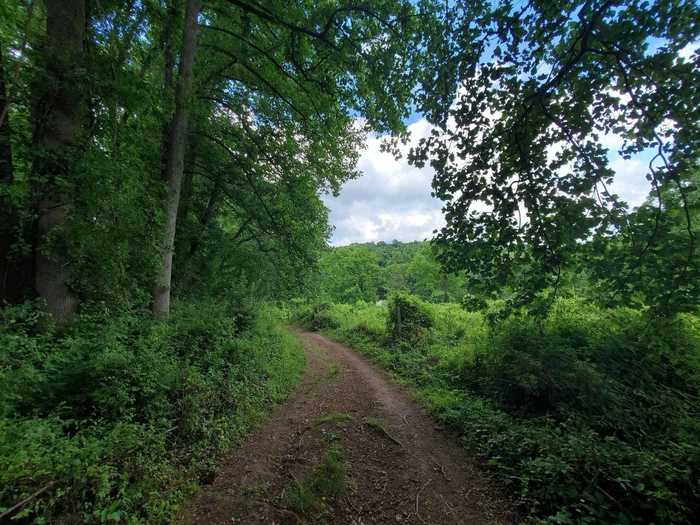 DELAWARE: Woodlawn Trail near Wilmington