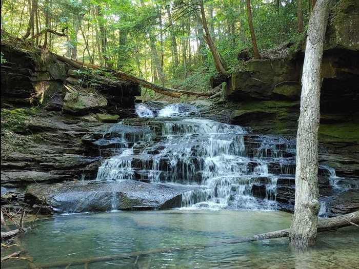 ALABAMA: Deer Skull Falls and Wolfpen Falls Loop near Double Springs