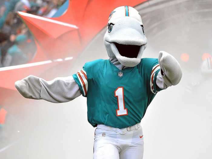 28. TD — Miami Dolphins (NFL)