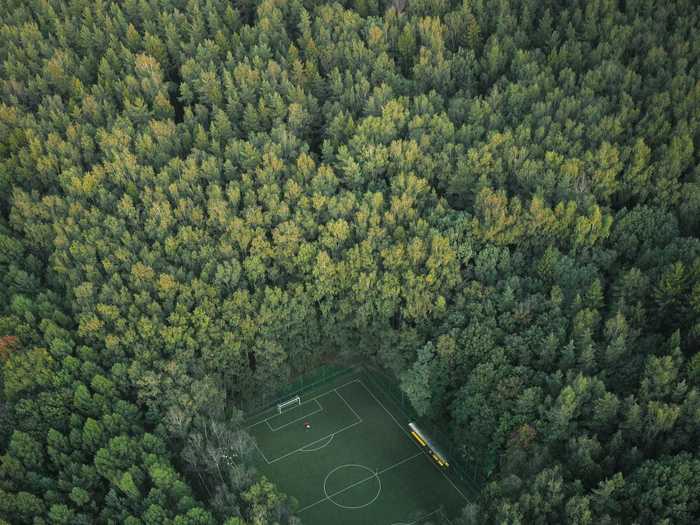 "Football in the green forest" by Artem Pikalov