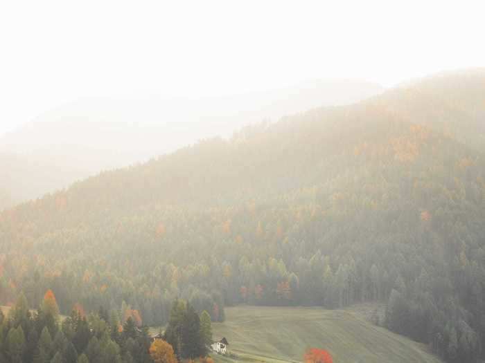 "Bucolic" by Ester Turri