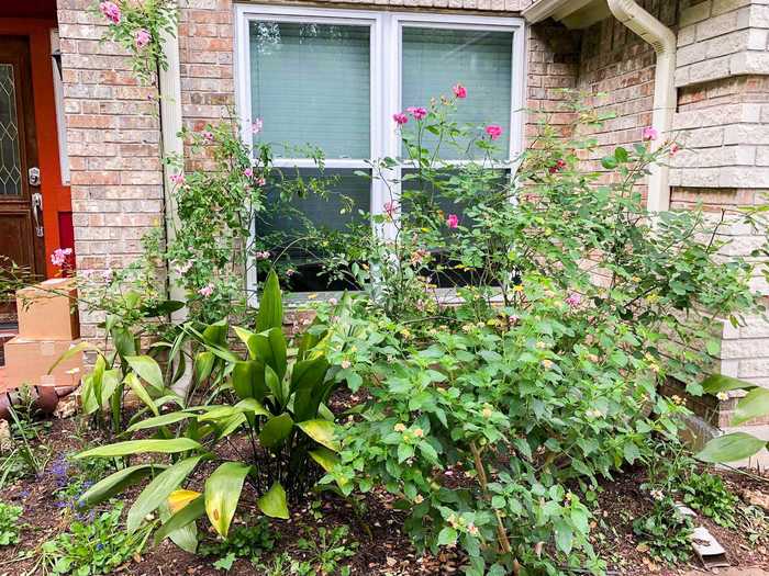 It started in her own yard, then neighbors starting asking Gail to landscape their yards as well.