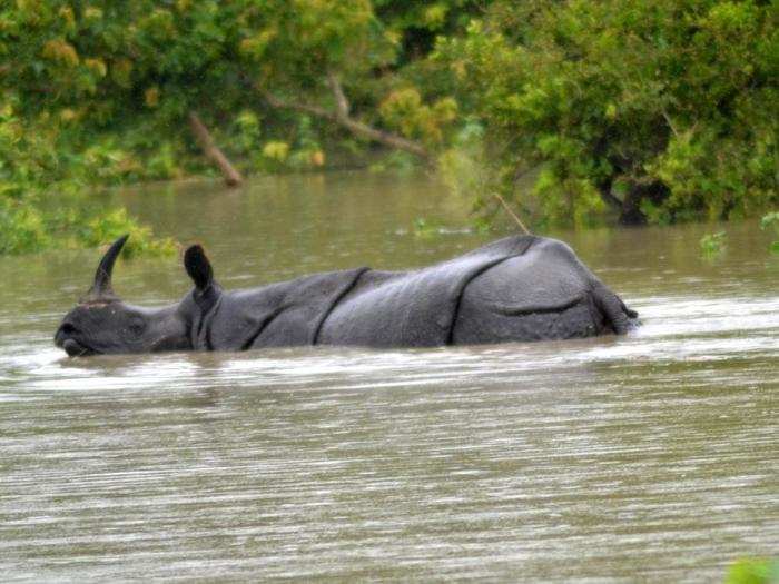 Centre discussed Assam flood situation with Chief Minister Sarbananda Sonowal over phone