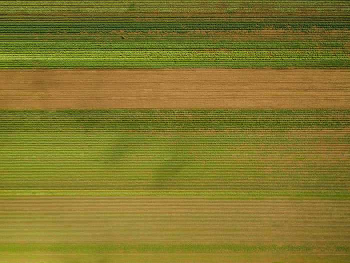 Rouse hopes his collection brings a new perspective to the agriculture industry. "You can miss the beauty of it all from down on the ground," he said.