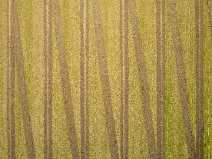 The lines and patterns in the farmland actually help Rouse take the perfect photo.