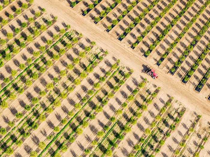 When flying over the American landscape, Rouse said the lines and patterns "beg to be photographed."