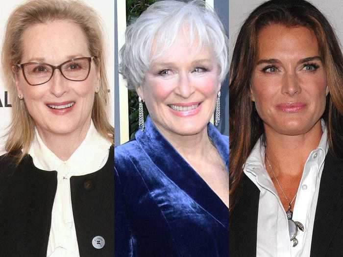 Meryl Streep is related to both Glenn Close and Brooke Shields.