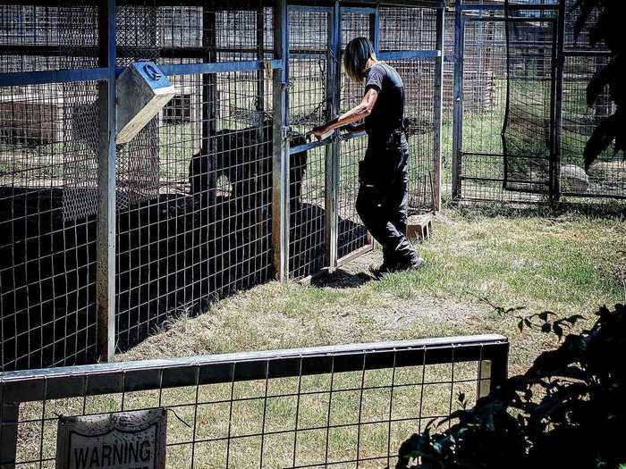 However, he said he did notice a touching interaction between a zoo visitor and Erik Cowie, a zookeeper prominently featured in "Tiger King."