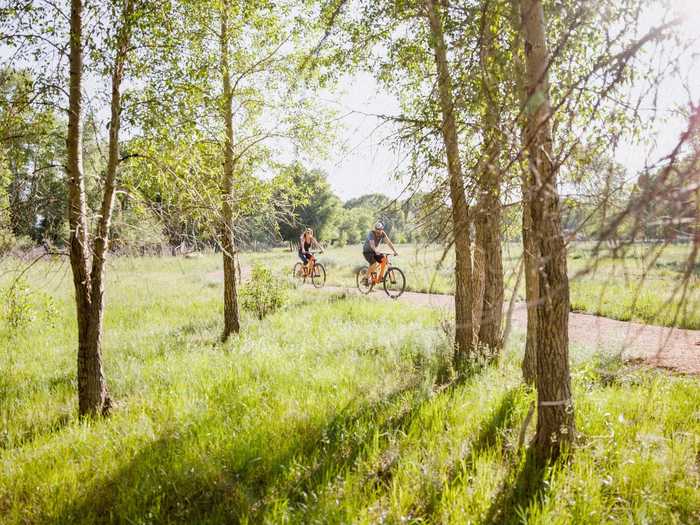 ... biking through grassy meadows...