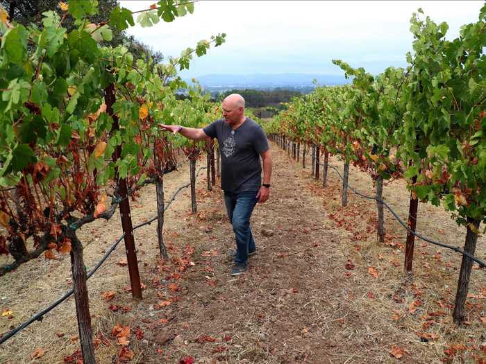 Take Paradise Ridge Winery in Santa Rosa, for example, which reopened in December 2019 for the first time since the 2017 fires, only to close its doors a few months later due to California