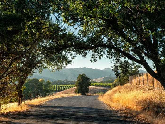 By the end of 2018, Napa and Sonoma reported that visitor numbers and spending were on pace with previous years ⁠— but achieving those results took work.