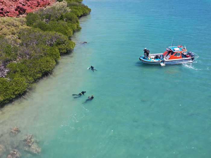 At a second, nearby site called Flying Foam Passage, the divers found a freshwater spring 46 feet below sea level. In it, they found a stone tool that