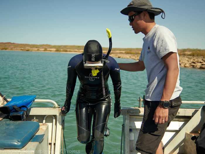 Finally, the team sent divers down to investigate an area known as the Cape Bruguieres Channel in 2019.