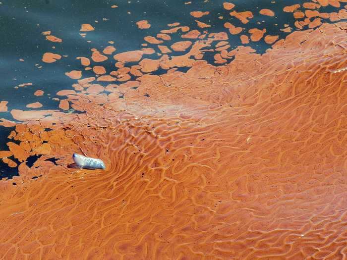 President Obama called the spill "the worst environmental disaster America has ever faced," in a speech from the Rose Garden in June, and pledged to hold BP accountable for the damage to the environment and the local fishing and tourism industries.