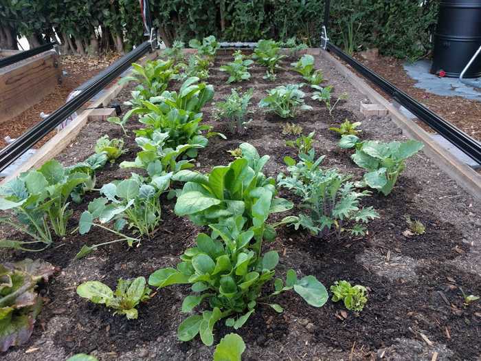 FarmBot is powered by electricity and comes with an extension cord that must be plugged into an outlet.