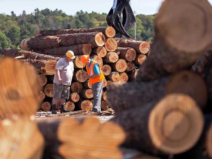 22. Log graders and scalers