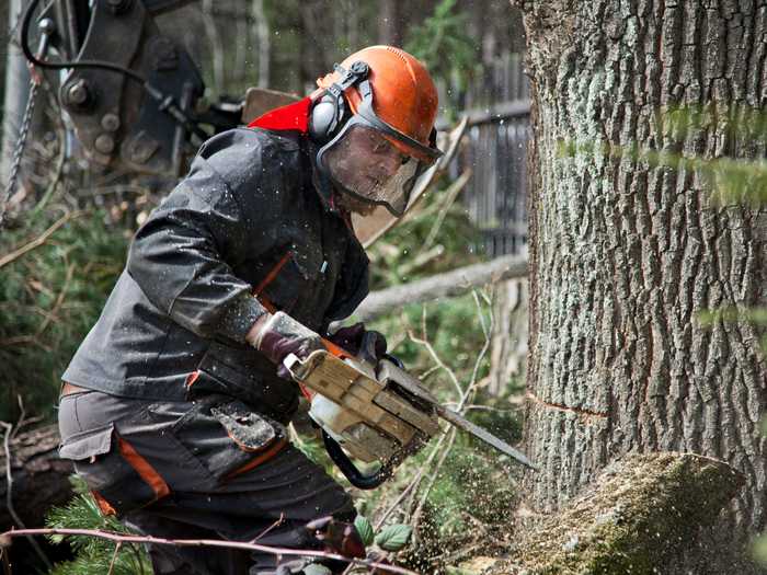 27. Tree trimmers and pruners