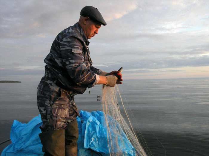 31. Fish and game wardens