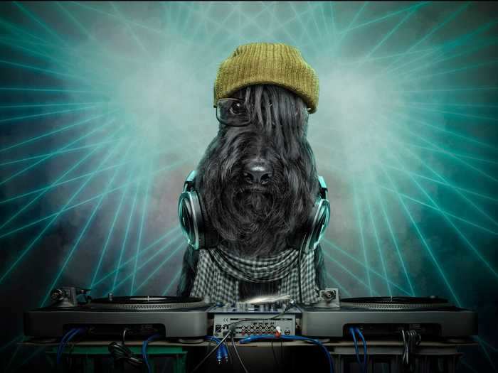 "Electronic Dog Music" is just a "humorous play on current trends and the hipster movement," Richards said.