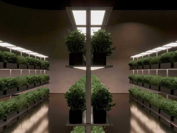 A garden with phyto lamps allows residents to grow vegetables and fruits ...