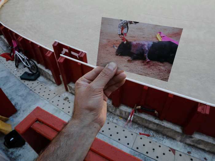 This photo shows an empty arena behind a slain bull from last year