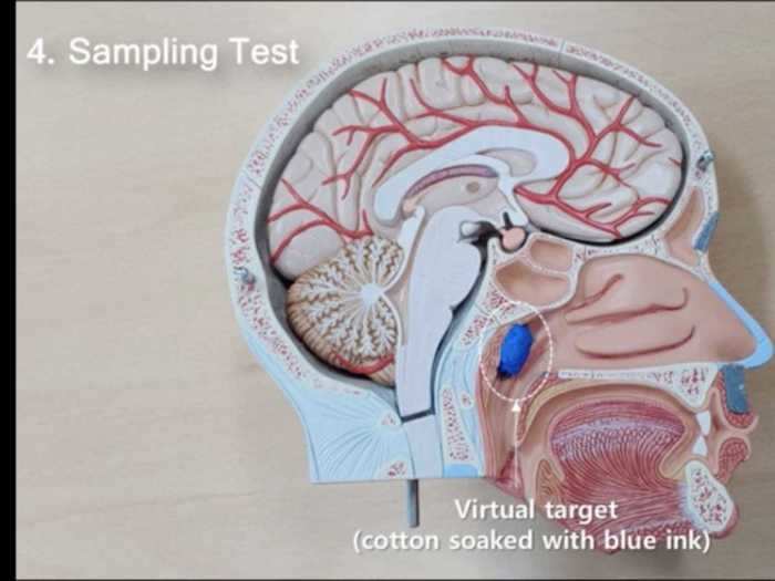 The target, highlighted in blue, is where the swab has to reach to get a useful sample.