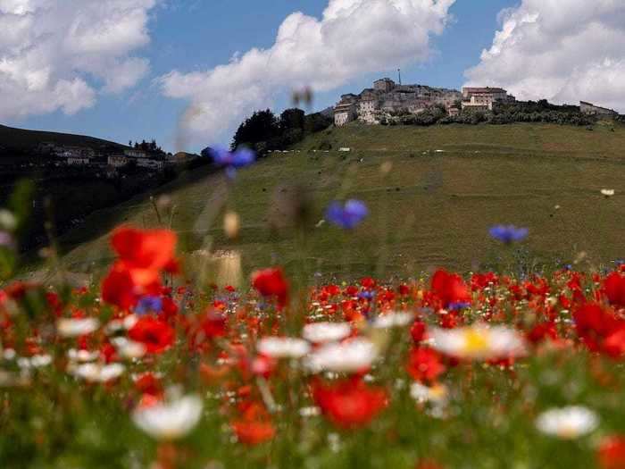 And visitors can enjoy the spectacular fields.