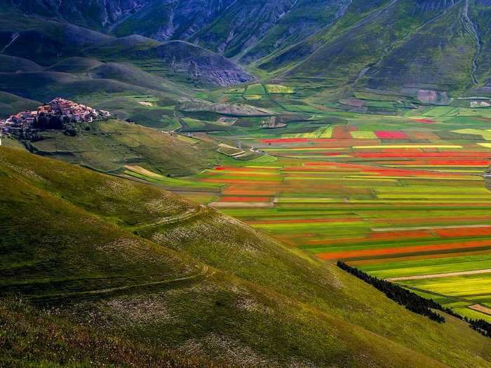 After farmers harvest the lentils, they leave the fields fallow, which allows for wildflowers to naturally seed themselves.