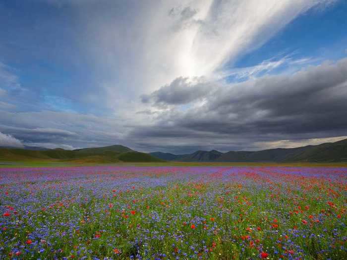 Between May and July, the basin overflows with wildflowers.