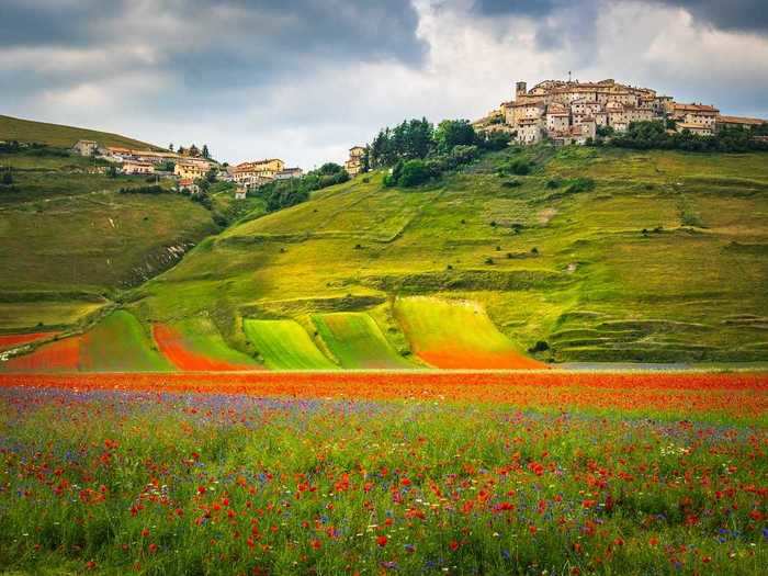 Castelluccio, a small village in central Italy, is known for its annual flowering, or la fioritura.