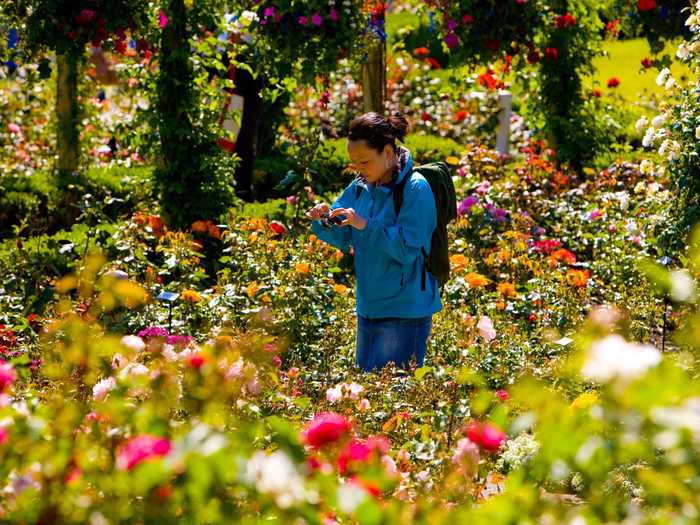 The gardens include 55 acres of flowers and other plants from around the world. It costs up to $35 per person to enter, depending on your age.