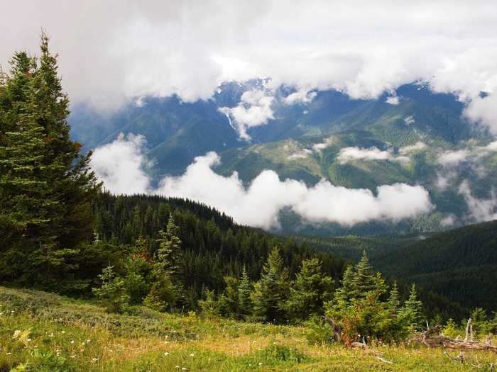 It costs $30 per vehicle to get inside the park. Trip Advisor reviews say the view is worth the 17-mile drive up a winding road.