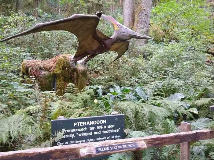 The Prehistoric gardens cost between $8 and $12 to enter, depending on your age. Kids under two can go in for free.