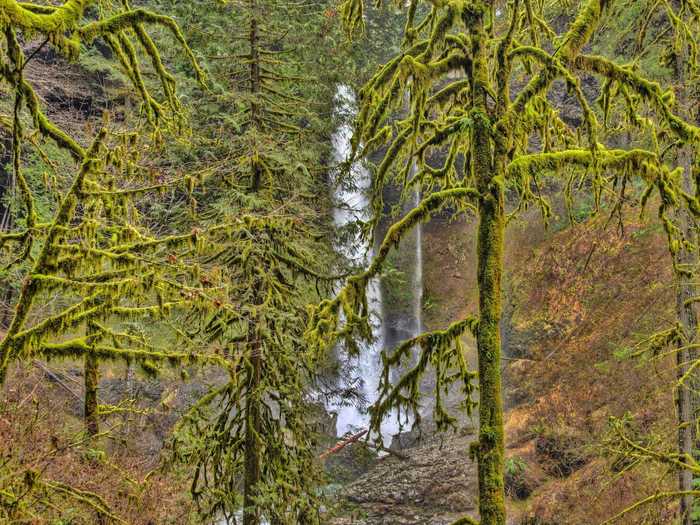 Some parts of the park are closed due to the pandemic, like the visitors center and one of the play areas. Oregon State Parks warns that you may have to turn around if the trails are too crowded.