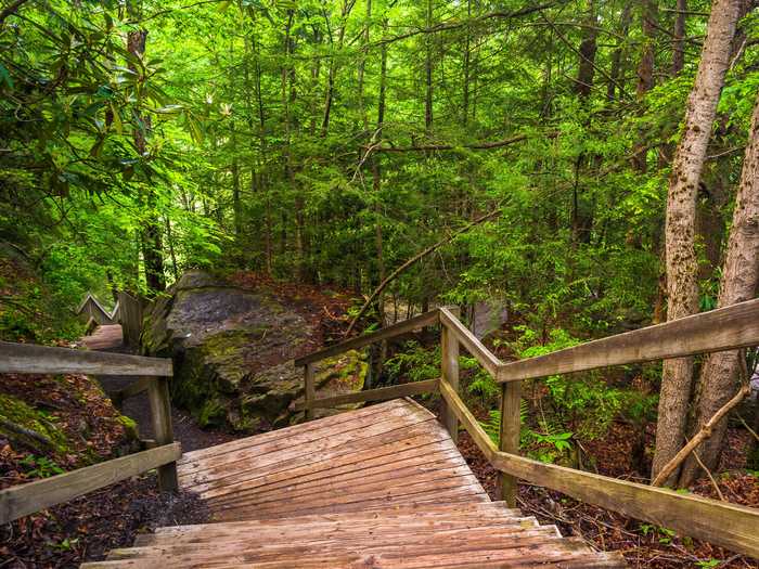 WEST VIRGINIA: The Appalachian Trail